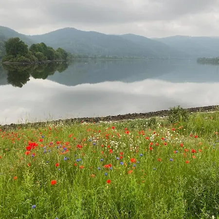 Arnstein Waldeck (Hessen)