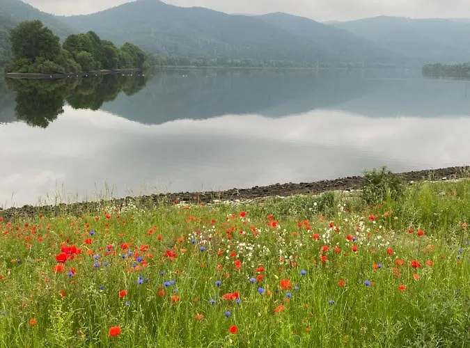 Arnstein Waldeck (Hessen)